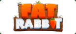 fat rabbit slot game